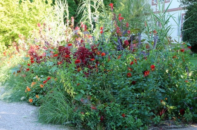 Staudenbeet im Schatten - die besten Pflanzen