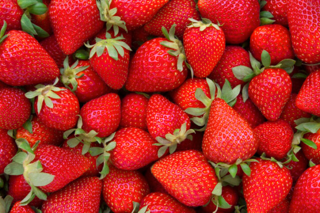 Erdbeeren - Erkennung und Bekämpfung von Schädlingen